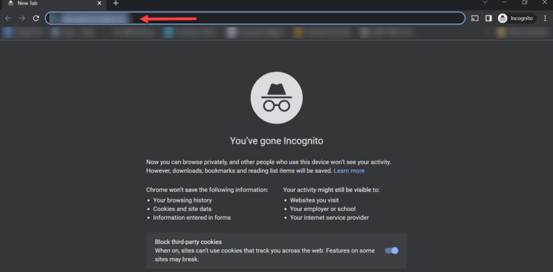 Open The Incognito Tab By Pressing Ctrl+Shift+N And Paste The Url.