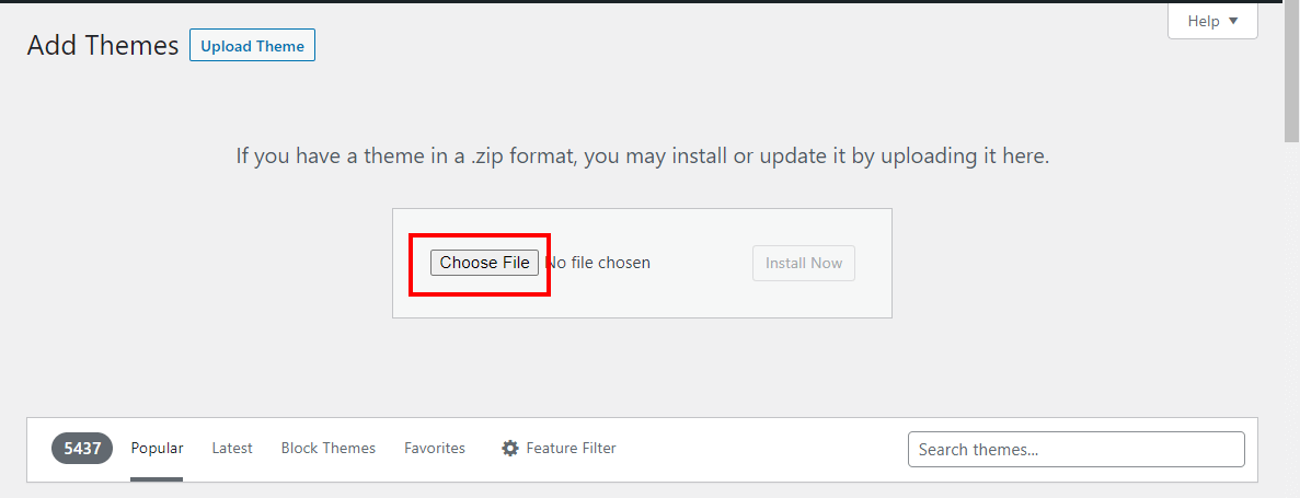 Choose File Option