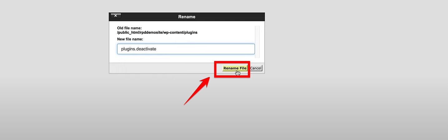 Click On Rename File Button